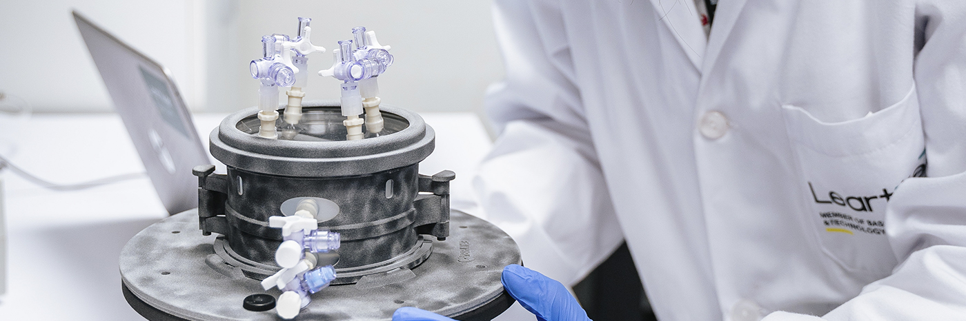 Giza tamainako bihotz-ehuna heltzeko bioerreaktore baten baliozkotzea