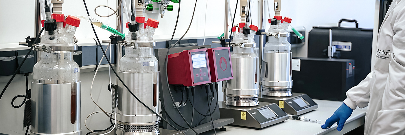 Produktuak hartzidura prozesuen bidez balorizatzeko soluzio tekniko erraz, jasangarri eta irisgarriak