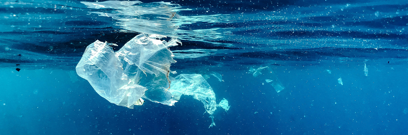 PLASTIGARBI, itsas hondakinak bildu eta prozesatzeko egitasmo berria