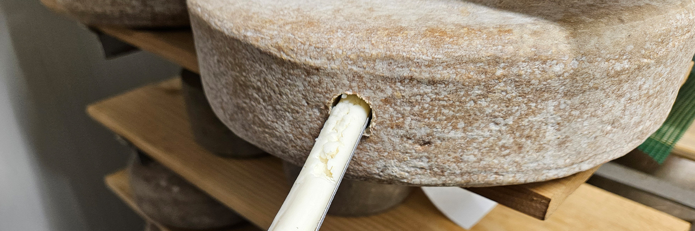 Analisi sensoriala produktuaren eta prozesuen kontrolerako irizpide teknologiko gisa