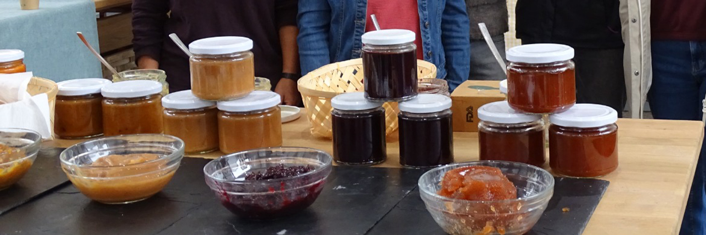 Goierriko baratzezain eta frutazainen lehengaiak eraldatzeko produktu-sorta berria aurkeztu da GOIZANE proiektuaren baitan